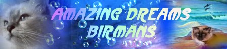 Amazing Dreams
