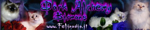 Felinadia