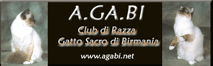 A.ga.Bi