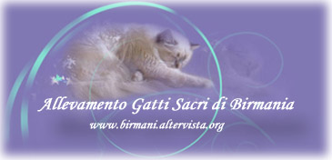 Birmani