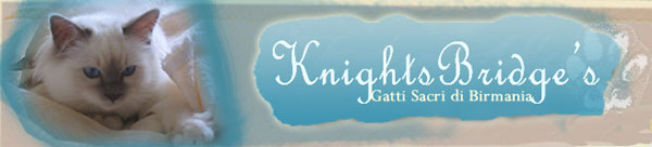 Knightsbridge
