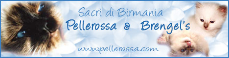 Pellerossa