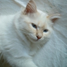 dscf0007